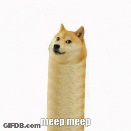 Doge With Long Neck Meep Meep GIF