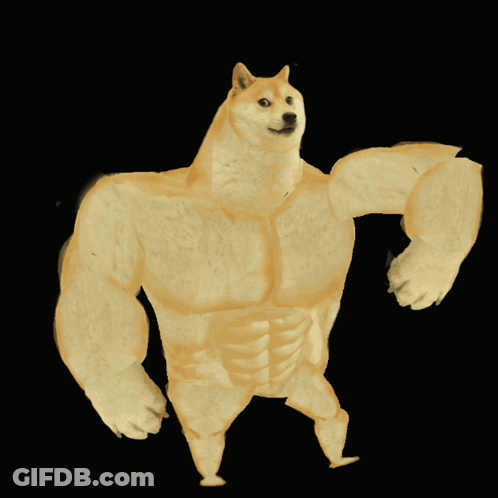 Doge With Muscles On Arms And Legs GIF