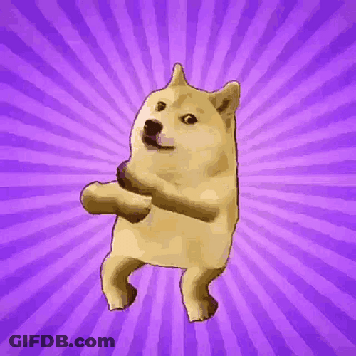 Dogecoin Meme GIF
