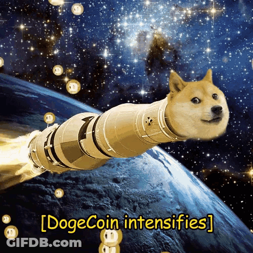 Dogecoin Wow GIF