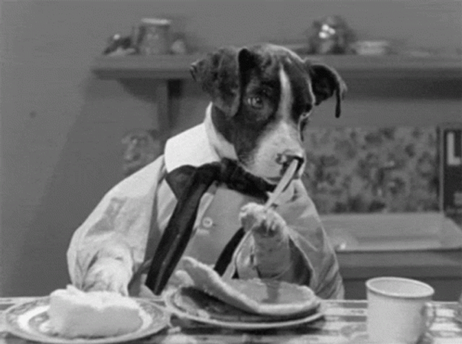 Doggo Eating Pancake GIF