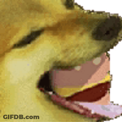 Doggo Having Unlimited Whataburger GIF