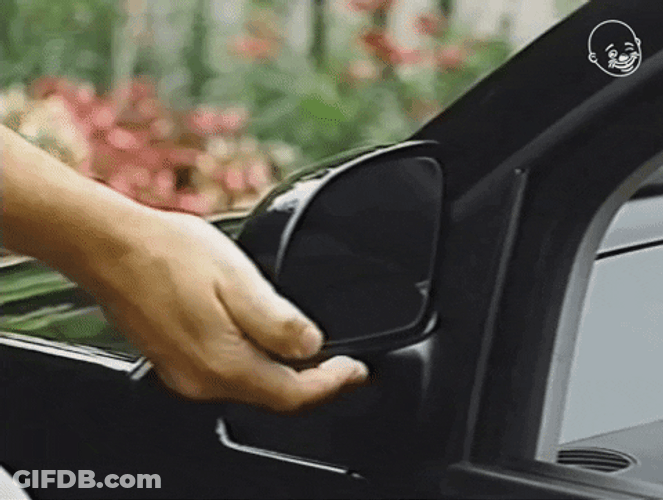 Doggo In Side Mirror GIF