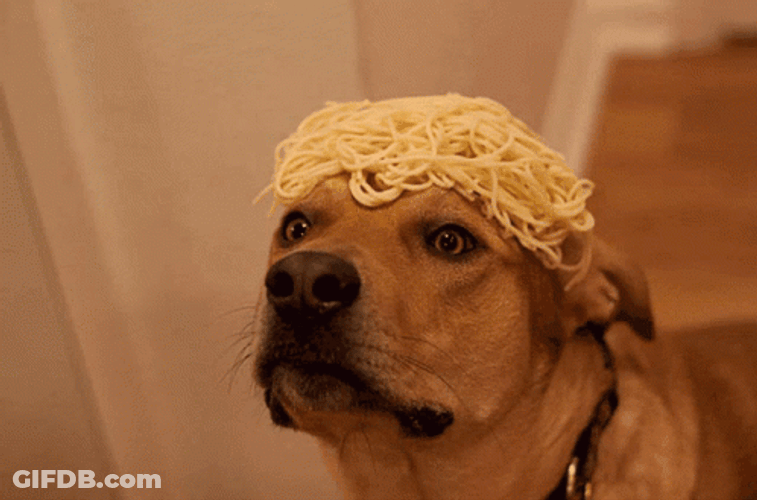 Doggo Noodle Head GIF