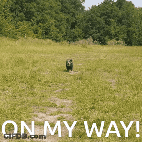 Doggo Rescue Help Is On The Way Dear GIF