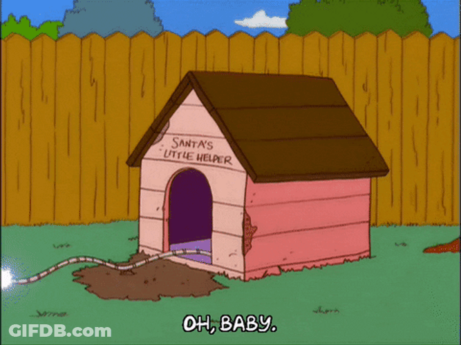 Doghouse Blow Up Explosion GIF