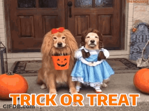 Dogs Dressed Up For Halloween Saying Trick Or Treat GIF
