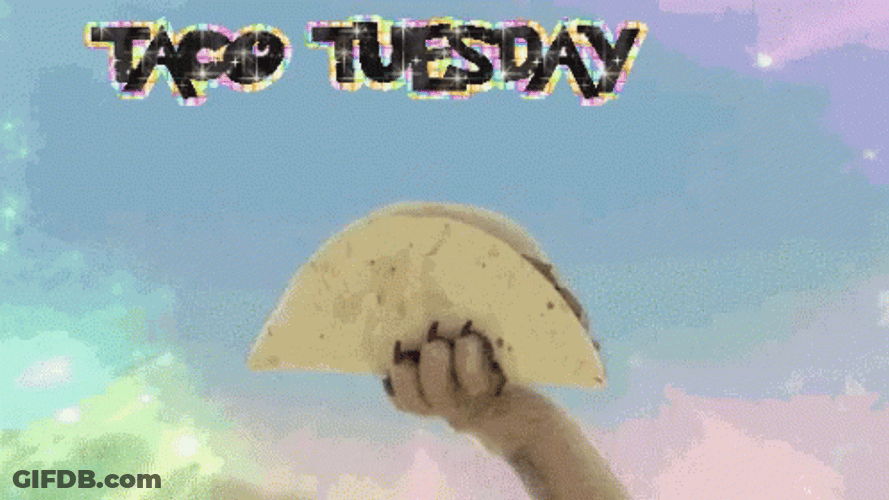 Dogs Eating Taco Cute Tuesday GIF