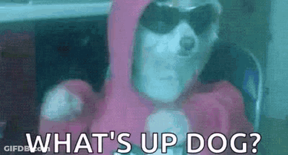 Dogs House GIF