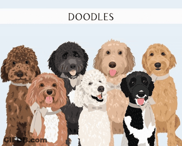 Dogs Meme GIF