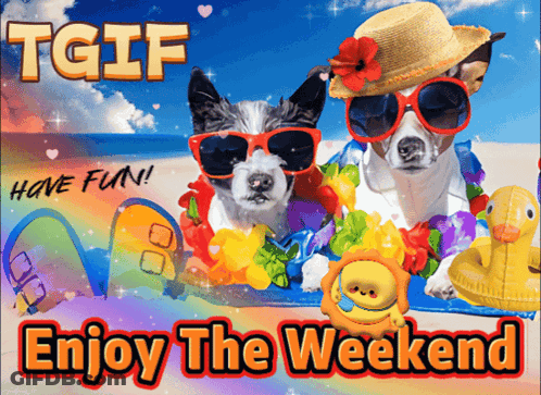 Dogs On Beach In Sunglasses Hats Saying Enjoy Weekend GIF