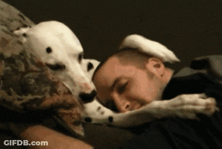 Dogs Pet Hugging GIF