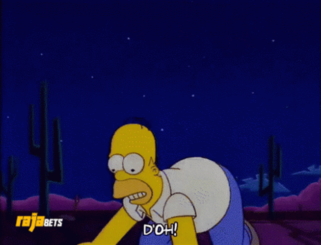 Doh Homer Simpson Catching Turtle GIF