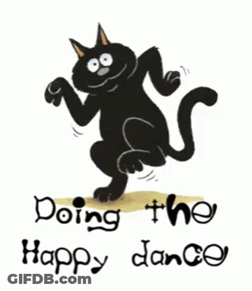 Doing The Happy Dancing Cat Meme GIF