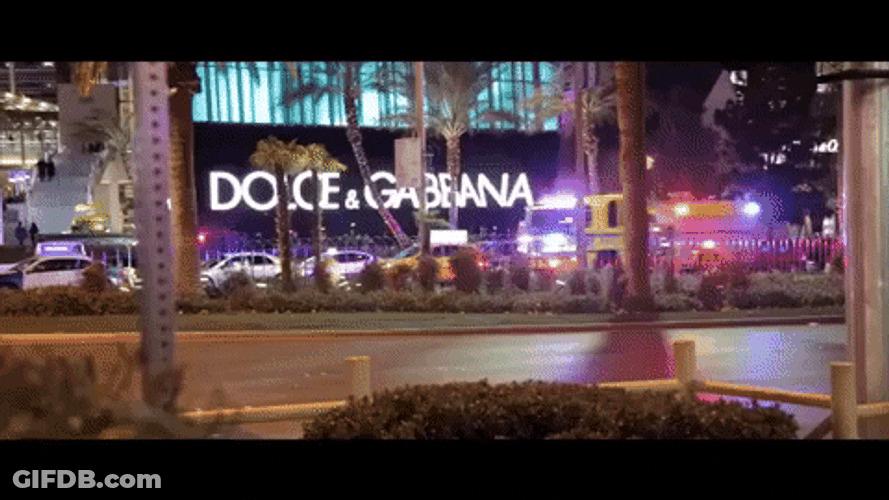 Dolce Gabbana Las Vegas GIF