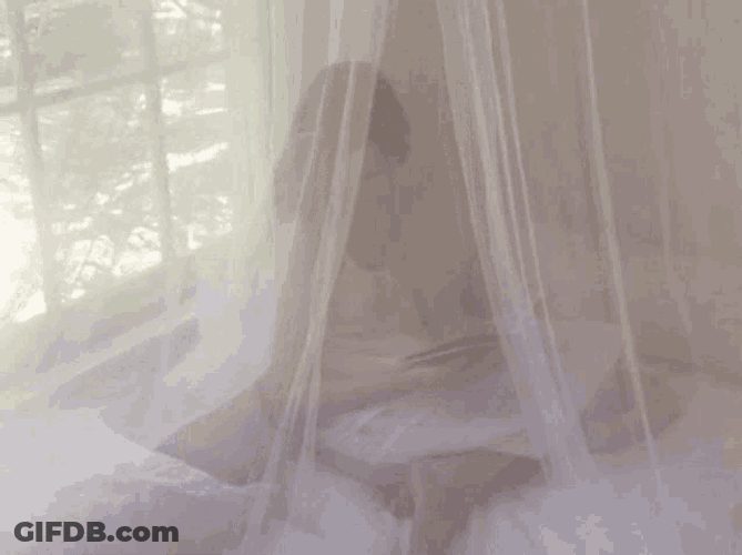 Dolette Coquette GIF