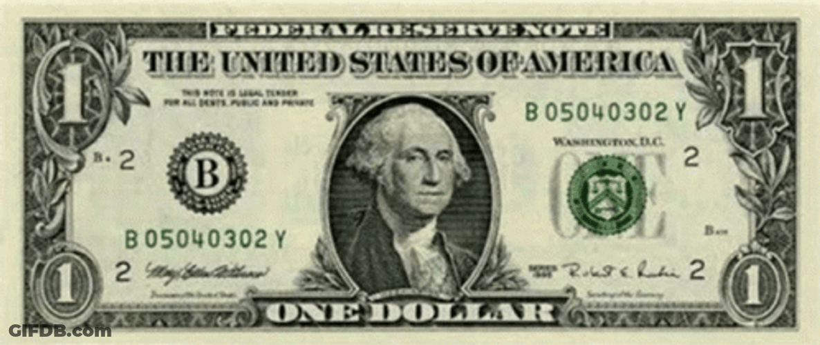 Dollar Bill Raven Protocol GIF