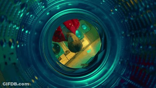 Dollar Bill Thrown Into Laundromat Machine GIF