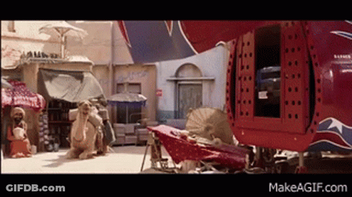 Dolls No So Then You Haven't Seen Everything GIF