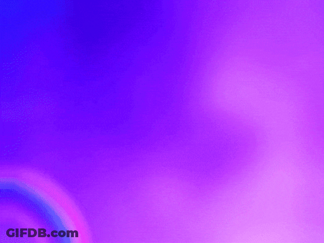 Dolphin Animation Happy Pride Month GIF