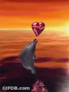 Dolphin Blowing Heart Shaped Balloon In Ocean GIF