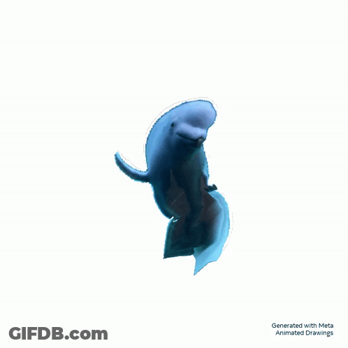 Dolphin GIF