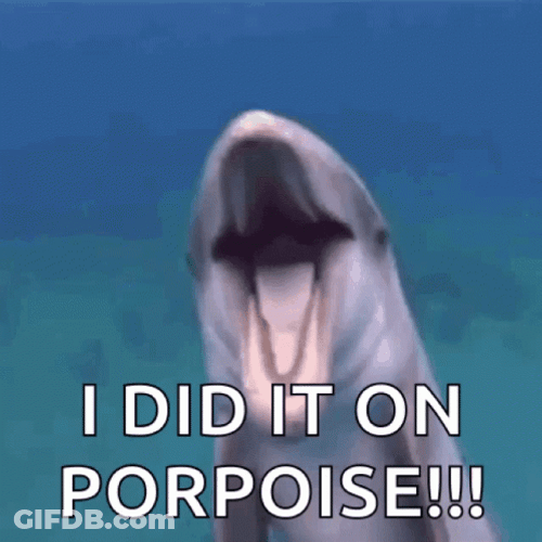 Dolphin I Did It On Porpoise GIF