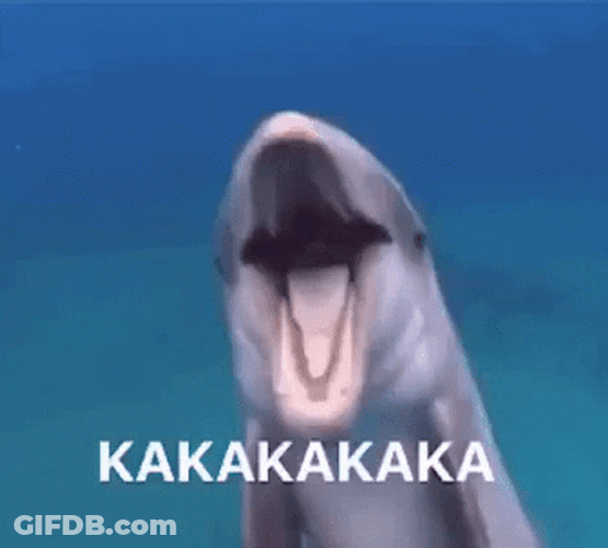Dolphin Kakakaka Laugh GIF