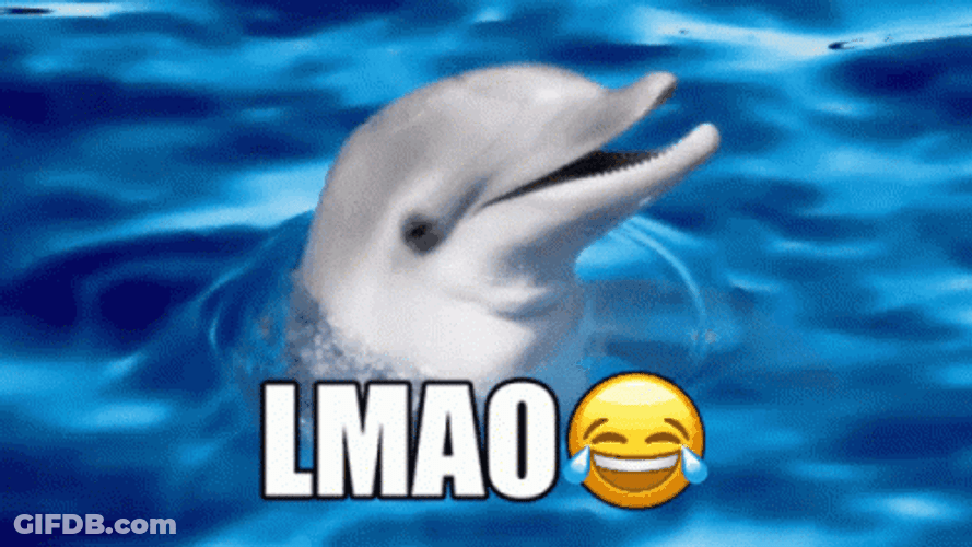 Dolphin LMAO GIF