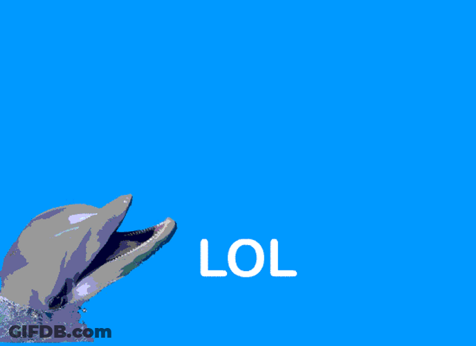 Dolphin Rainbow LOL GIF