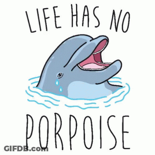 Dolphin Saying Life Has No Porpoise GIF