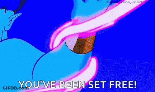 Dolphin Saying You've Been Set Free GIF