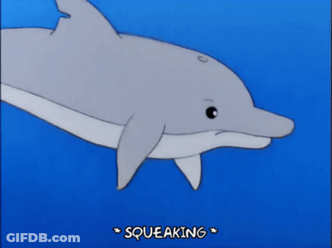 Dolphin Squeaking And Swimming Together GIF
