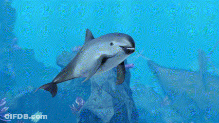 Dolphin Swimming Blue Ocean GIF