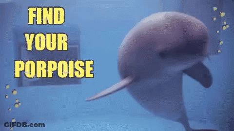 Dolphin Swimming Find Your Porpoise GIF