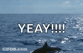 Dolphin Swimming In Ocean Saying Yeay GIF