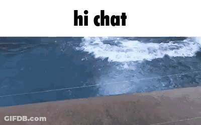 Dolphin Swimming In Ocean With Hi Chat GIF