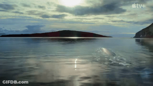 Dolphin Swimming With Apple TV+ Logo GIF