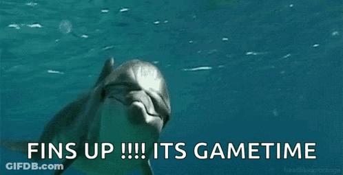 Dolphin Swimming With Fins Up Its Gametime GIF