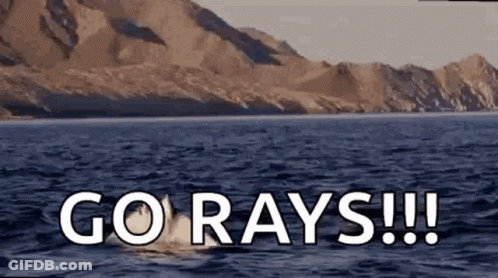 Dolphin Swimming With Go Rays GIF
