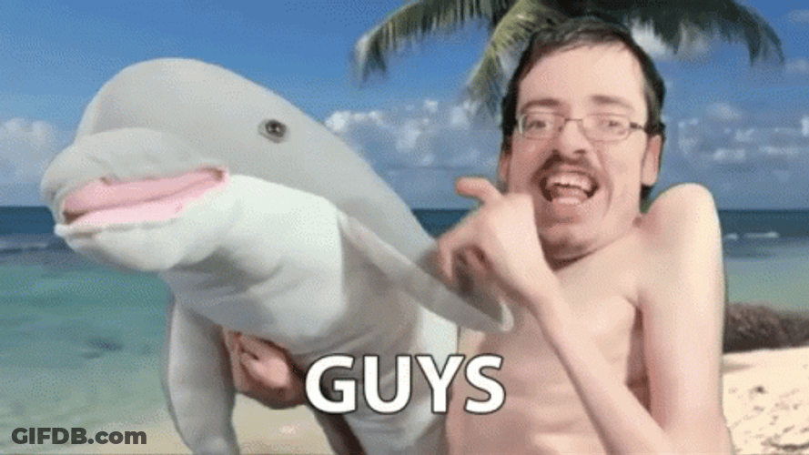 Dolphin Toy Guys GIF