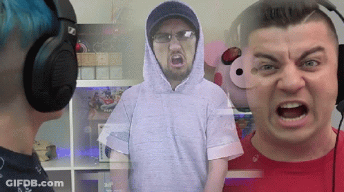 Dolphin With Ma Serio GIF