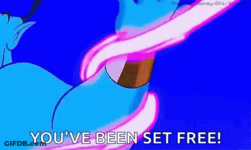 Dolphin With You Been Set Free GIF