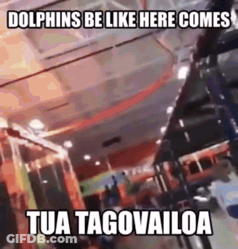 Dolphins Be Like Here Comes Tua Tagovailoa Meme GIF