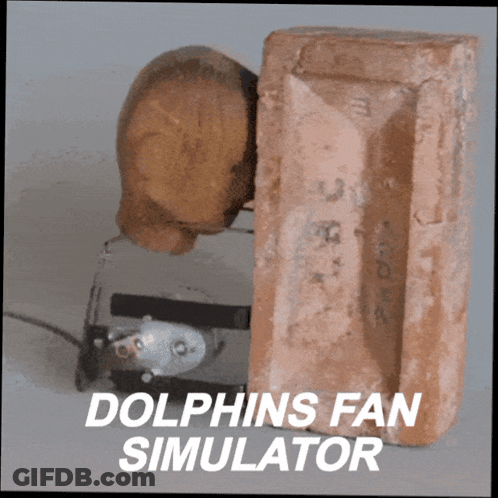 Dolphins Fan Simulator With Brick And Wood GIF