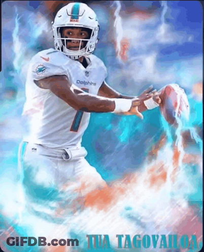 Dolphins Football Player Holding Ball GIF