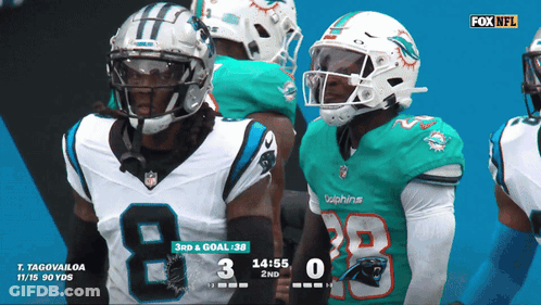 Dolphins Football Player Next To Panthers GIF