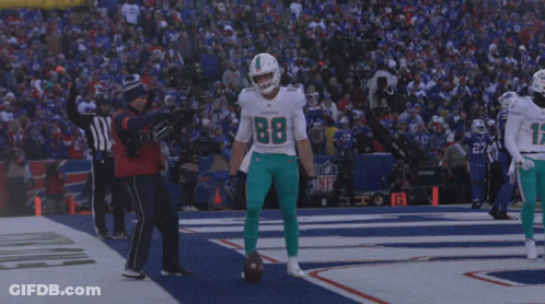 Dolphins Football Players Celebrate Touchdown GIF