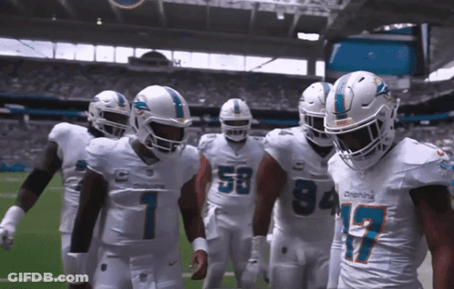 Dolphins Football Players On Field GIF
