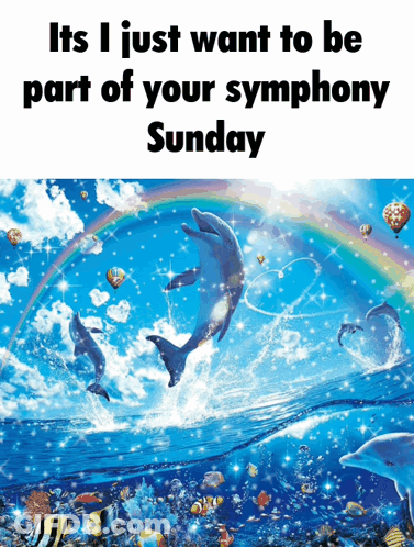 Dolphins It's I Just Want To Be Part Of Your Symphony GIF